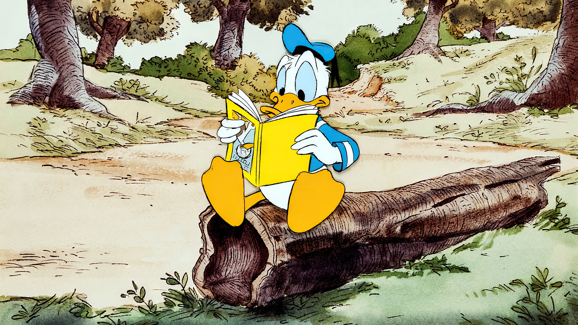 Imagine Donald in padure
